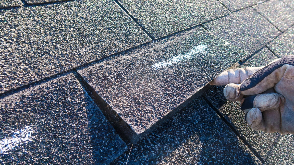 worker peeling up a loose shingle
