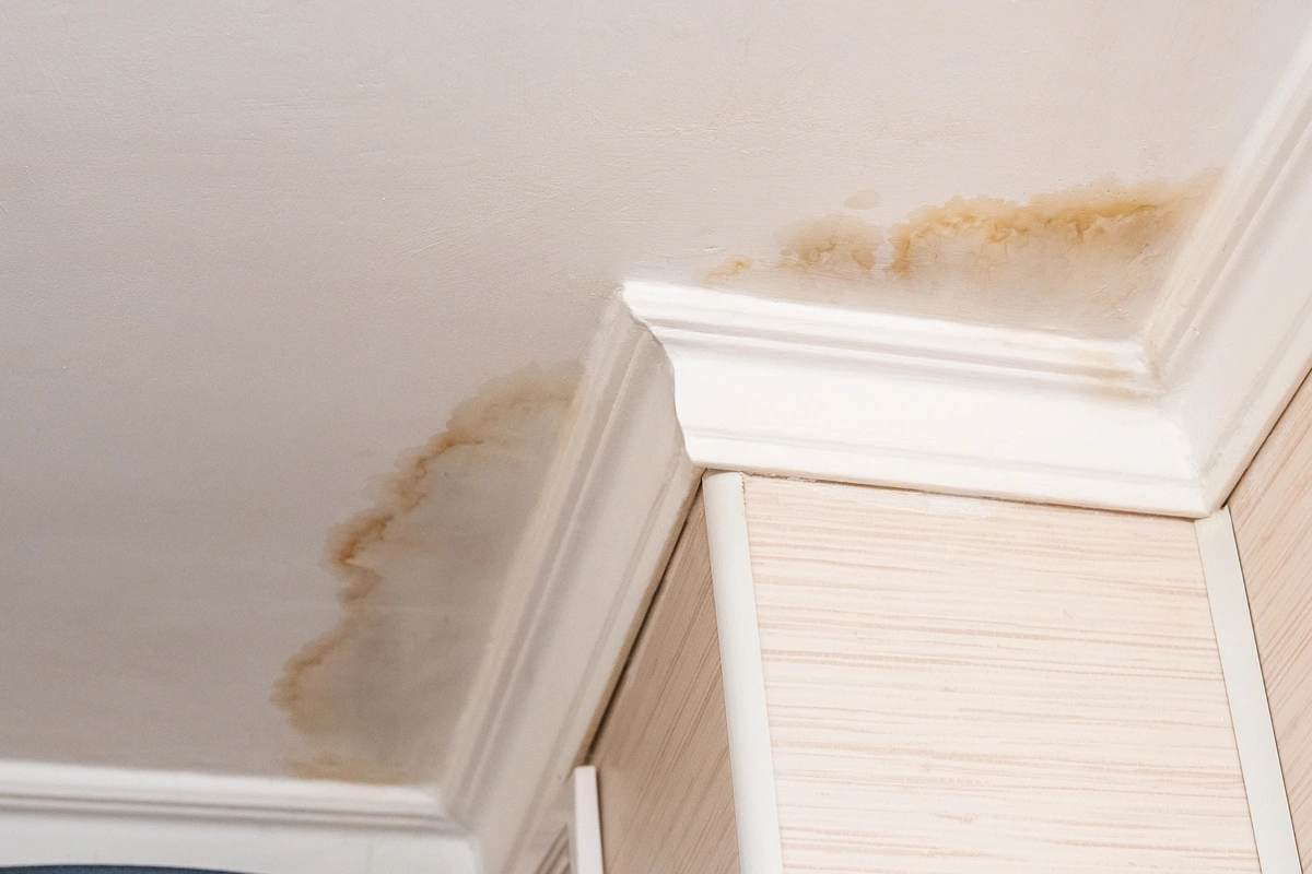 water stains on the ceiling from a damaged roof