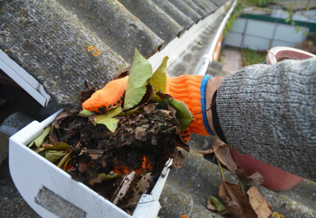 Cleaning Gutters