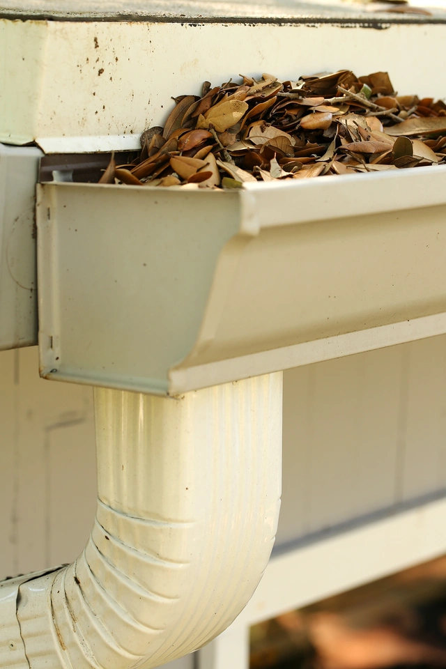 Clogged Downspout